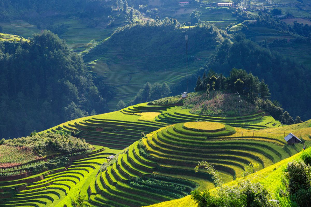 Mu Cang Chai Yen Bai Vietnam